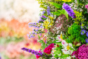 Peace of mind chelsea flower show nature nurture connection wellbeing mental health psychotherapy therapy counselling