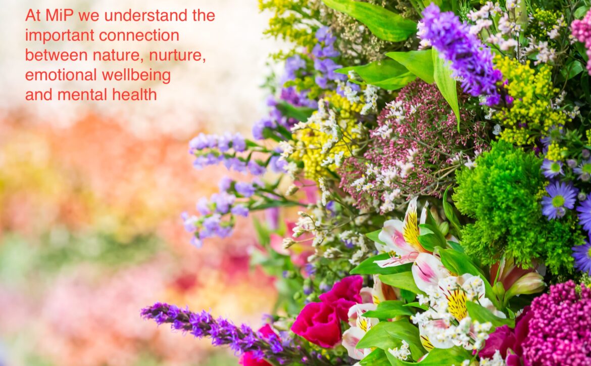 nature nurture catharsis emotional wellbeing mental health support chelsea flower show psychotherapy counselling therapy