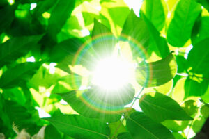 nature nurture self care mental health wellbeing awareness