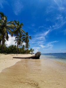 The summer holiday paradox allows daydreams of peace and all our needs to be met