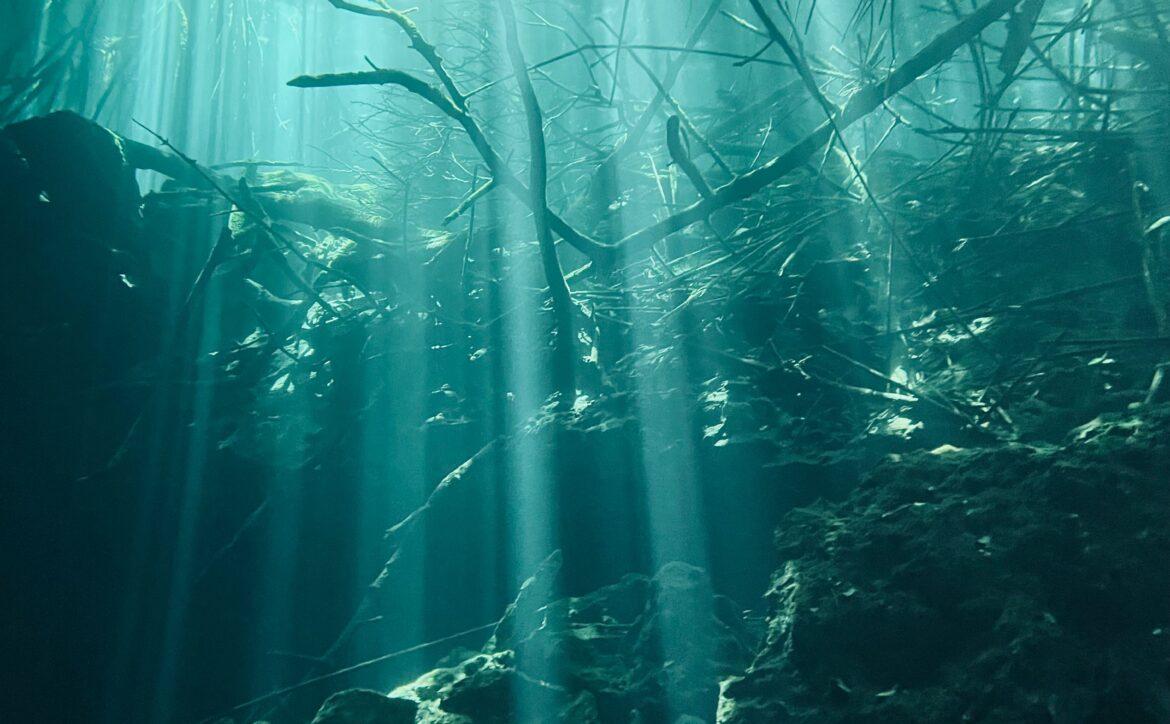 What Lies Beneath newsletter by MiP Therapy exploring the hidden psychology of leadership, workplace culture and organisational wellbeing