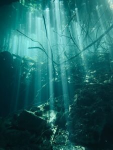 What Lies Beneath newsletter by MiP Therapy exploring the hidden psychology of leadership, workplace culture and organisational wellbeing